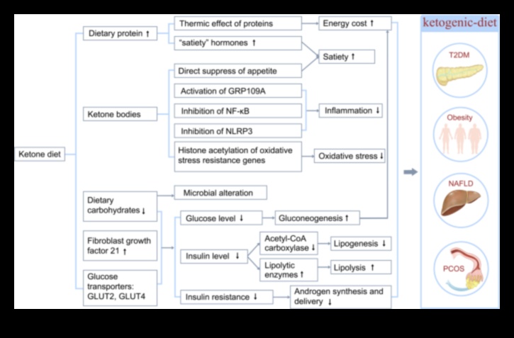 Dieta Keto Cum vă afectează genele rezultatele 5 Influența geneticii asupra răspunsurilor la dieta Keto