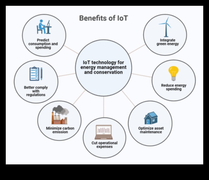 Revoluționarea resurselor: tendințe și tehnici în inovația modernă ecologică