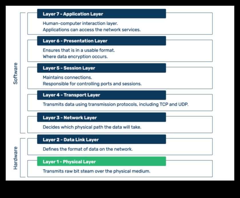 Dincolo de binar: straturi de sens în tehnologia informației