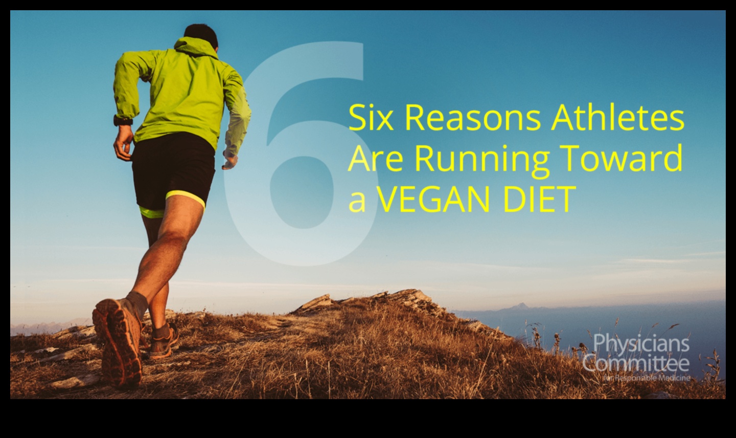 A deveni vegan pentru sporturile de anduranță Un ghid pentru succes 5 Veganism și sport de anduranță: alimentarea cu energie de lungă durată