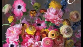 Fantezie florală: cadouri botanice pentru spiritul ei iubitor de natură