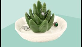 Sapă în verdeață Cadouri impotriva iubitorii de plante 3 Săpat în verdeață: cadouri pentru iubitorii de plante